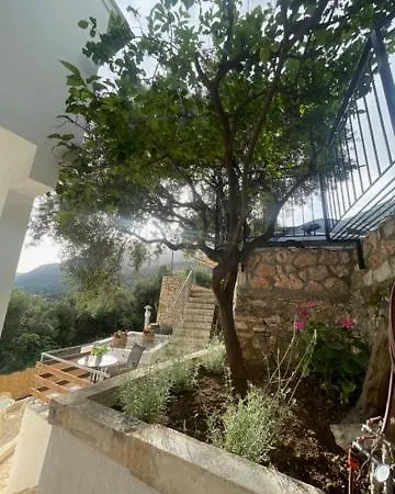 Lemon Tree House Apartment