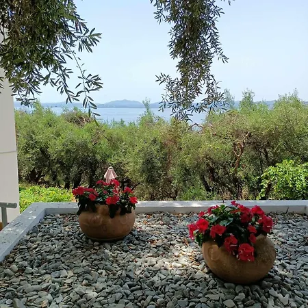 Lemon Tree House Apartment