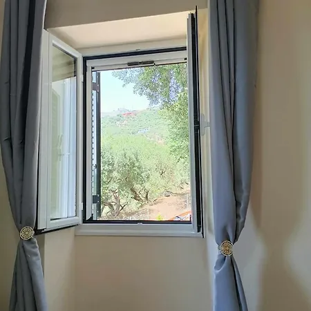 Lemon Tree House Apartment