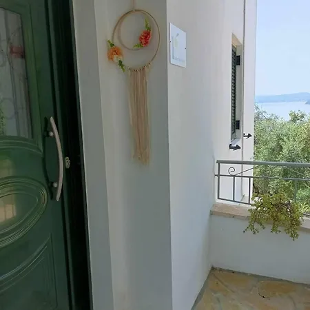 Apartment Lemon Tree House