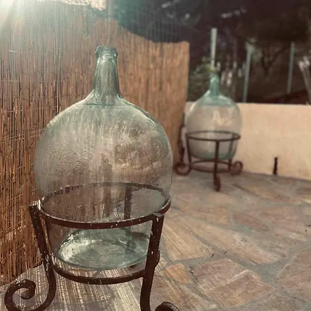 Lemon Tree House Katavolos