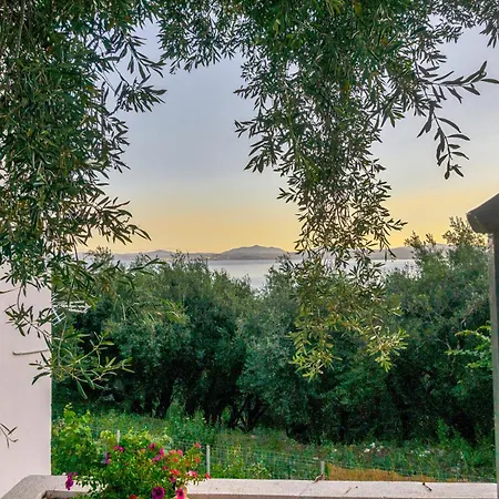 Lemon Tree House *