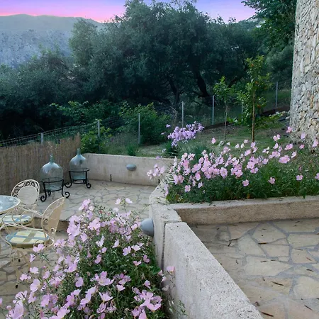 Lemon Tree House Katavolos