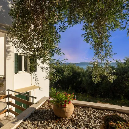 Lemon Tree House *