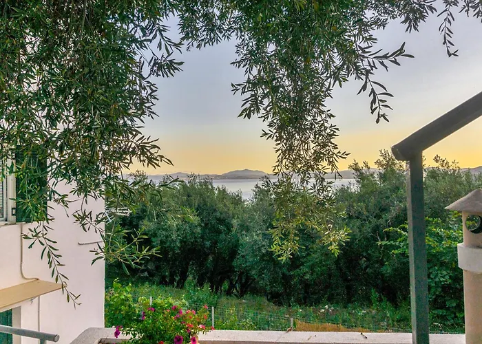Lemon Tree House *