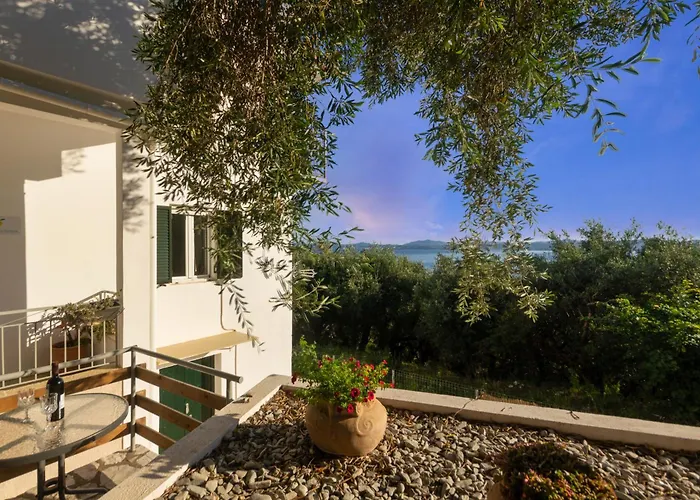Lemon Tree House *